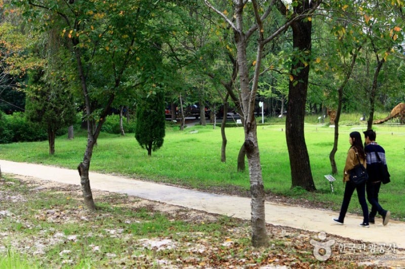 京畿道立水香樹木園 (1/48)