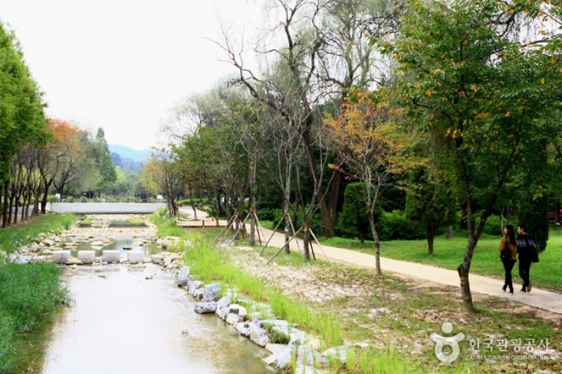 京畿道立水香樹木園 (2/48)