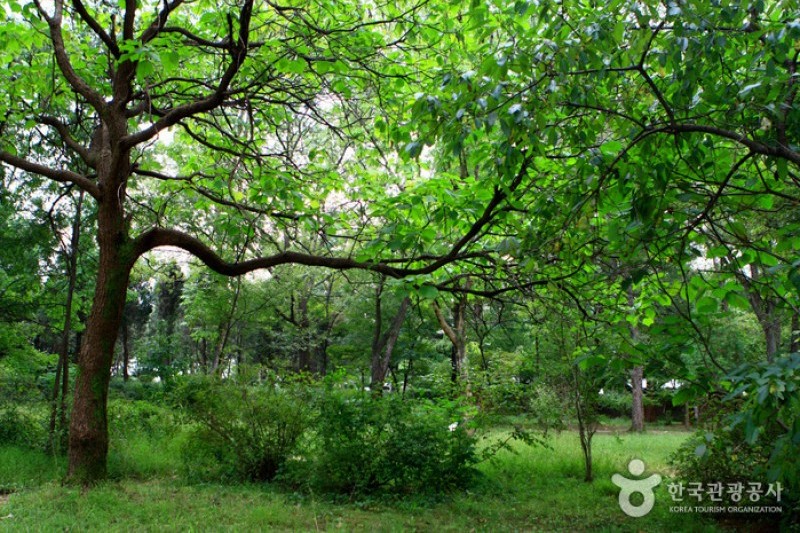 京畿道立水香樹木園 (4/48)