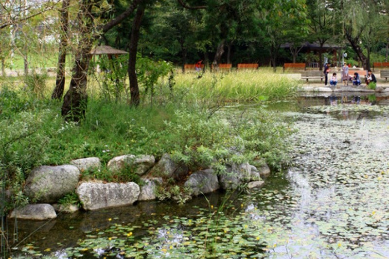 京畿道立水香樹木園 (6/48)