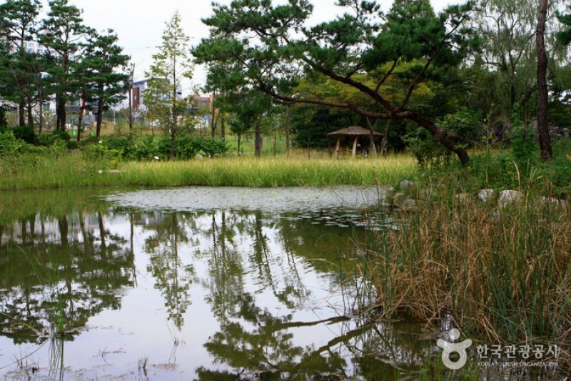 京畿道立水香樹木園 (7/48)