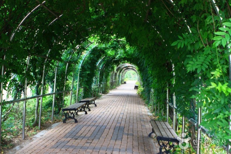 京畿道立水香樹木園 (8/48)