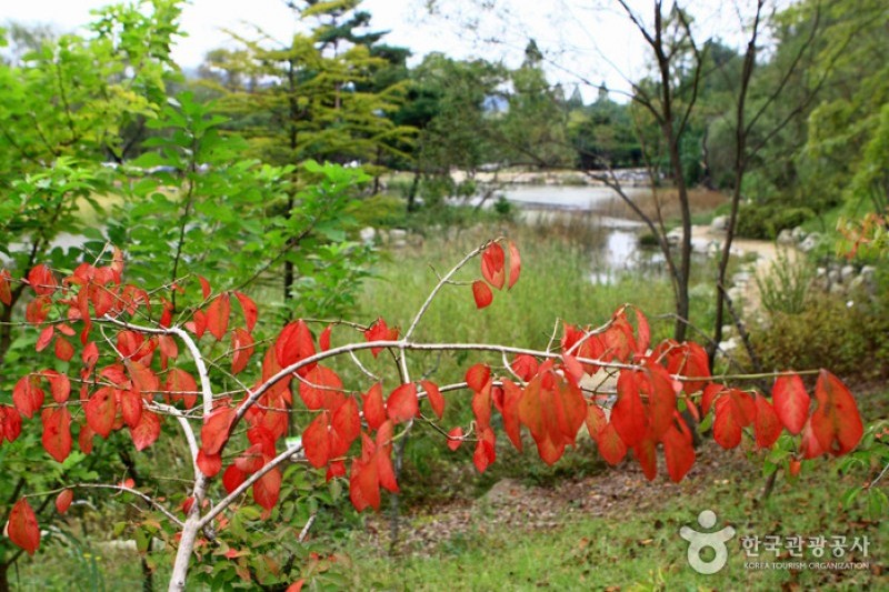 京畿道立水香樹木園 (9/48)