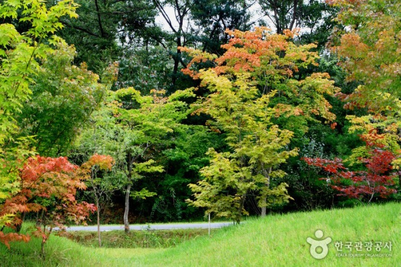 京畿道立水香樹木園 (11/48)