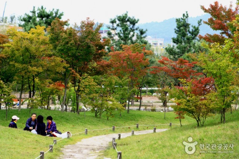 京畿道立水香樹木園 (12/48)