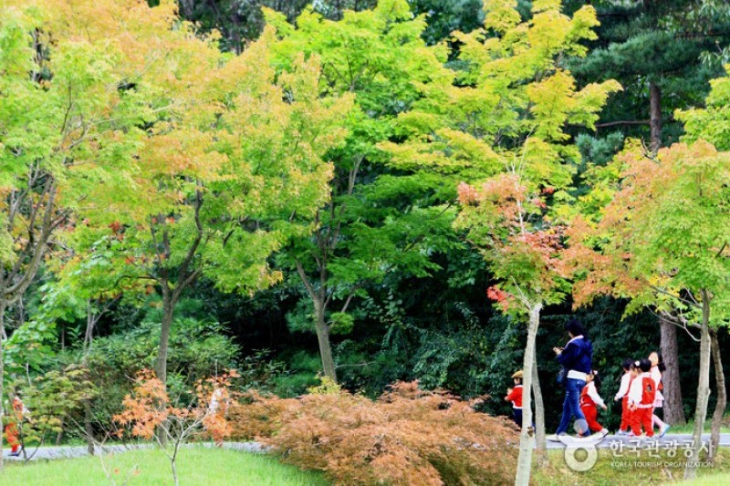 京畿道立水香樹木園 (13/48)