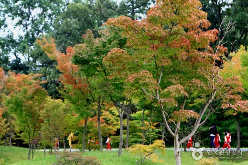 京畿道立水香樹木園 (14/48)