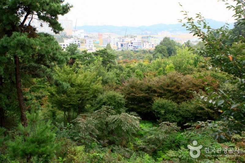 京畿道立水香樹木園 (16/48)