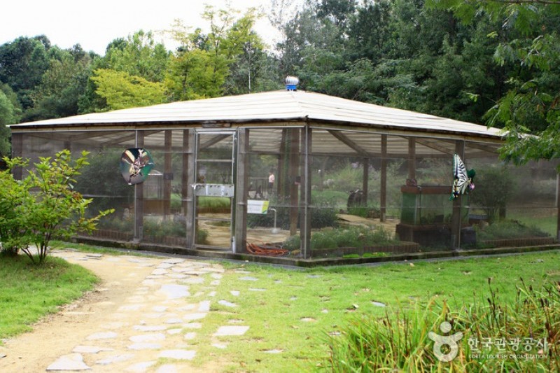 京畿道立水香樹木園 (18/48)