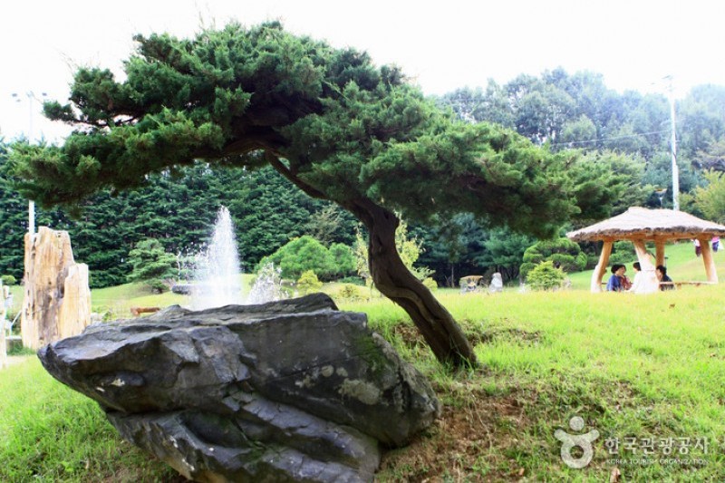 京畿道立水香樹木園 (19/48)