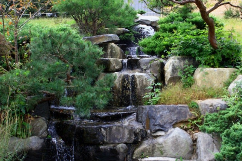 京畿道立水香樹木園 (21/48)