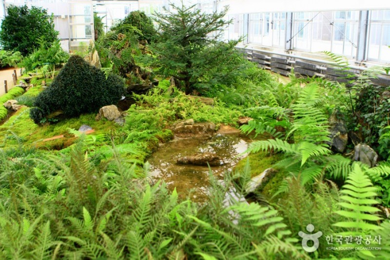 京畿道立水香樹木園 (22/48)