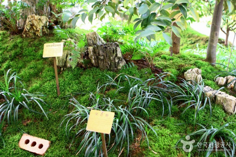 京畿道立水香樹木園 (23/48)