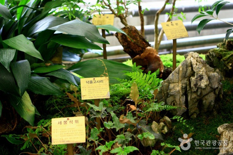 京畿道立水香樹木園 (24/48)