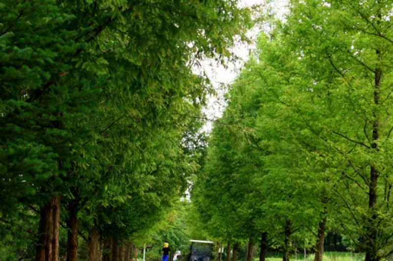京畿道立水香樹木園 (30/48)