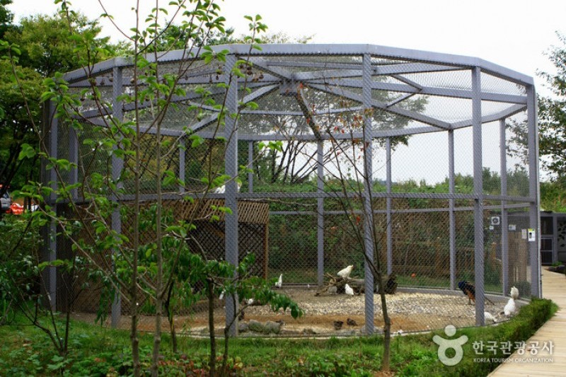 京畿道立水香樹木園 (32/48)