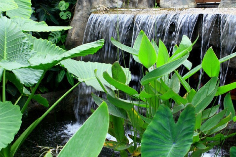京畿道立水香樹木園 (35/48)