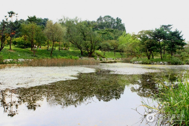 京畿道立水香樹木園 (41/48)