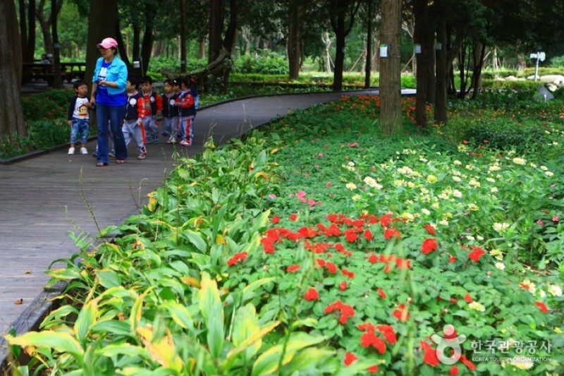 京畿道立水香樹木園 (47/48)