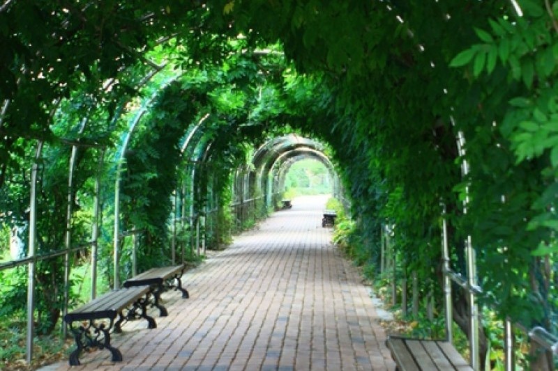 京畿道立水香樹木園 (48/48)