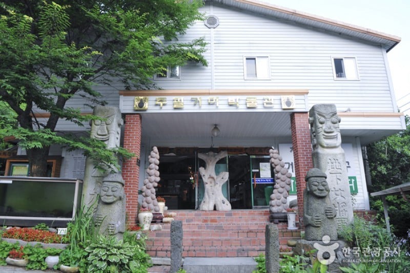 Arachnopia生態樹木園 • 珠弼蜘蛛博物館 (14/17)
