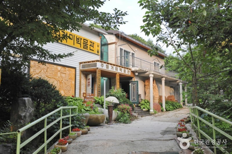 Arachnopia生態樹木園 • 珠弼蜘蛛博物館 (15/17)