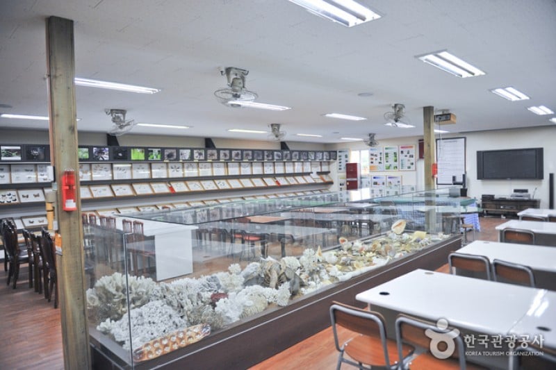 Arachnopia生態樹木園 • 珠弼蜘蛛博物館 (17/17)