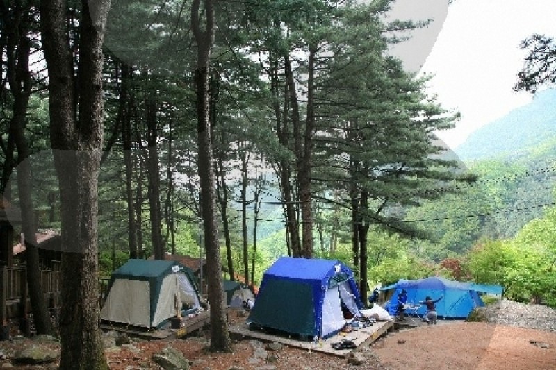 祝靈山自然休養林