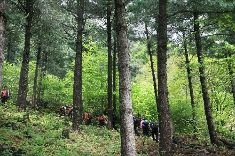 祝靈山自然休養林