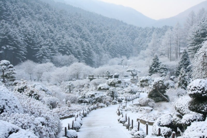 晨靜樹木園五色星光庭園展 (1/18)
