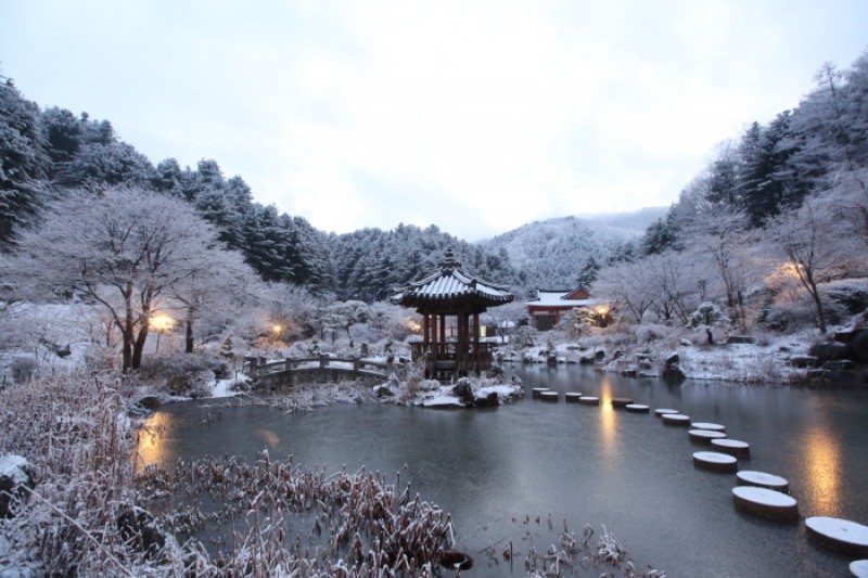 晨靜樹木園五色星光庭園展 (2/18)