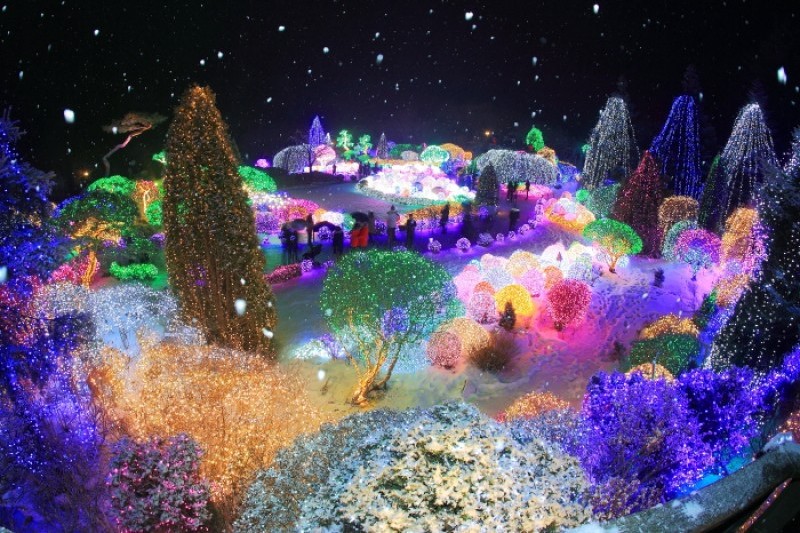 晨靜樹木園五色星光庭園展 (3/18)