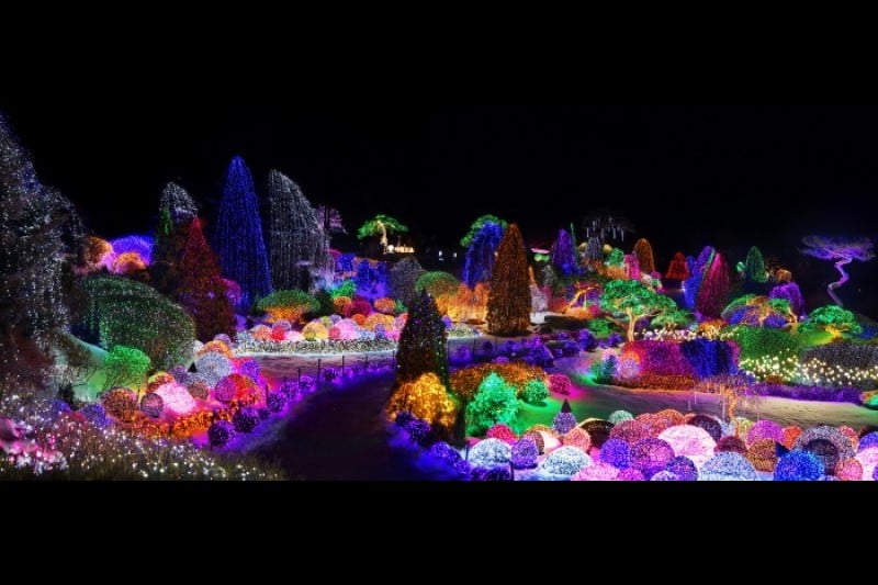晨靜樹木園五色星光庭園展 (4/18)