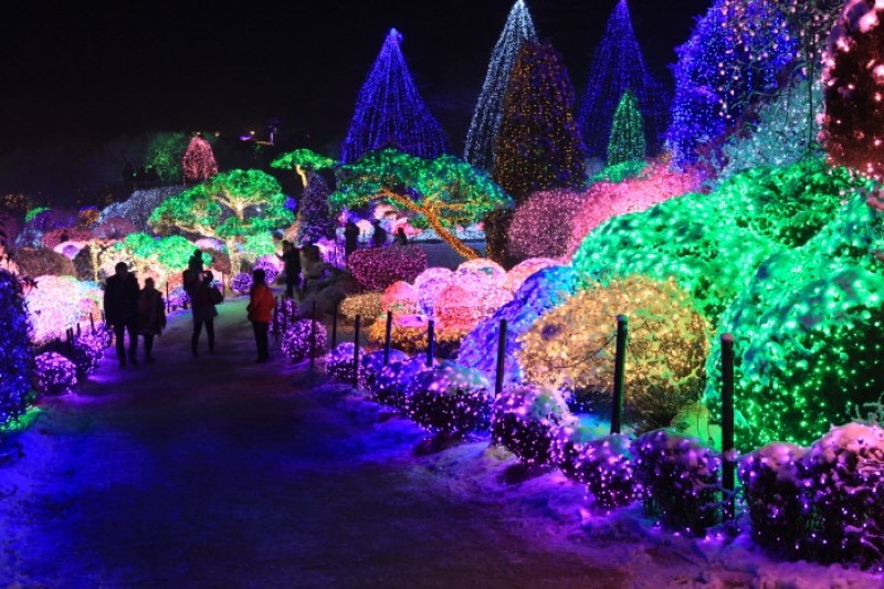 晨靜樹木園五色星光庭園展 (7/18)