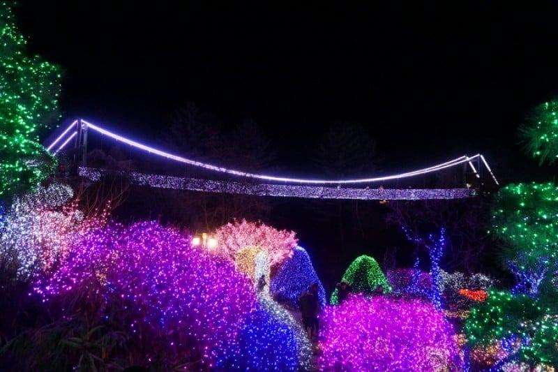 晨靜樹木園五色星光庭園展 (9/18)