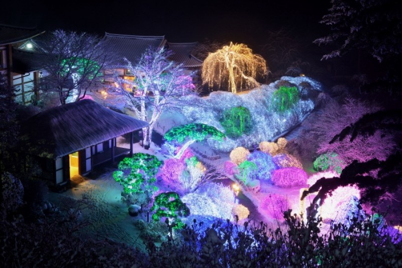 晨靜樹木園五色星光庭園展 (10/18)