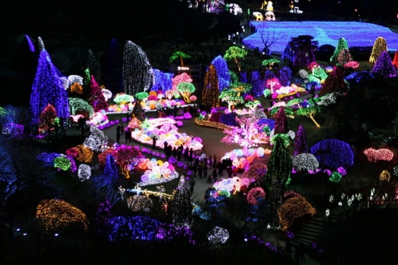 晨靜樹木園五色星光庭園展 (13/18)