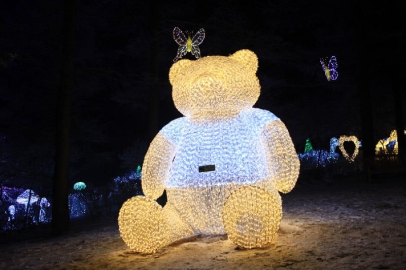 晨靜樹木園五色星光庭園展 (14/18)