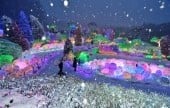 晨靜樹木園五色星光庭園展