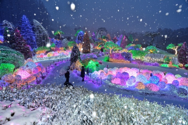 晨靜樹木園五色星光庭園展 (15/18)
