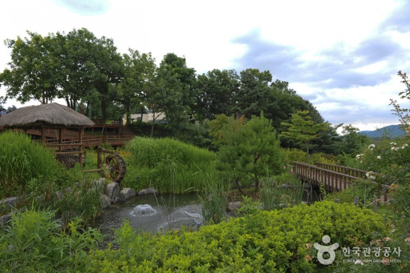 龍仁農村主題公園 (1/13)