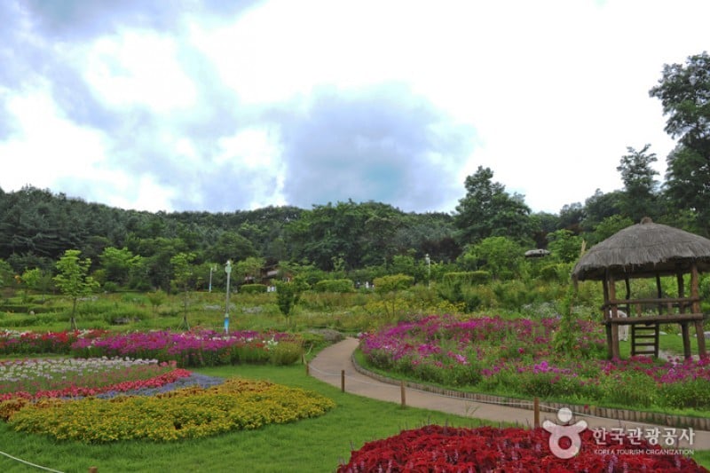龍仁農村主題公園 (4/13)