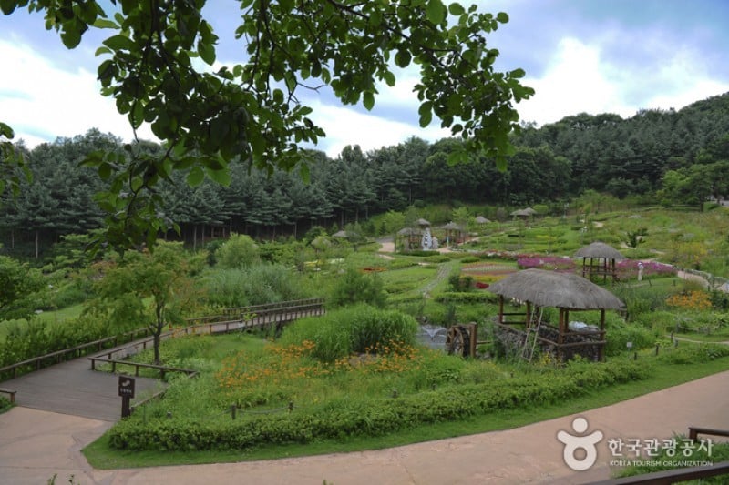 龍仁農村主題公園 (5/13)