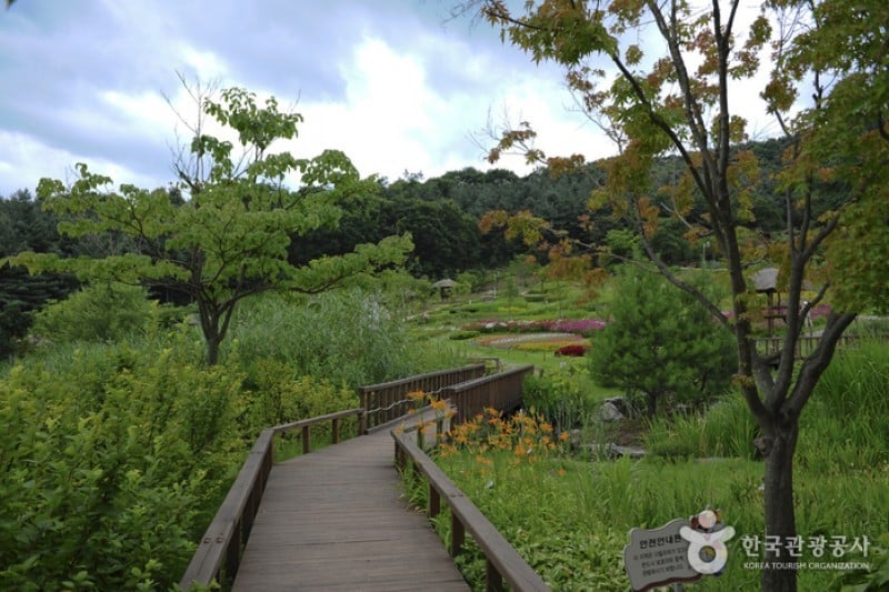 龍仁農村主題公園 (7/13)