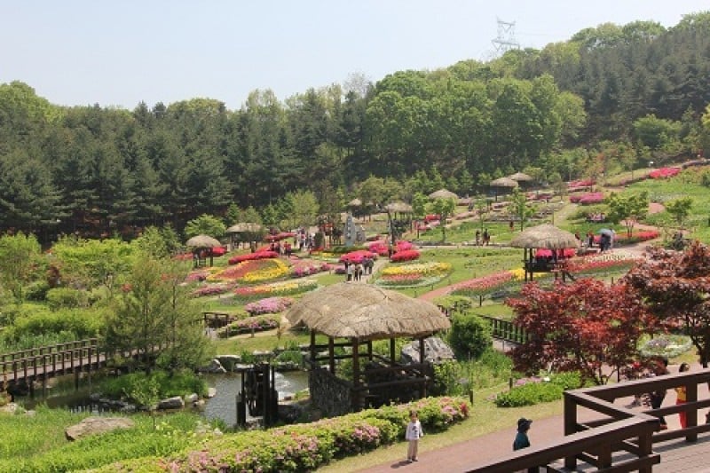 龍仁農村主題公園 (8/13)