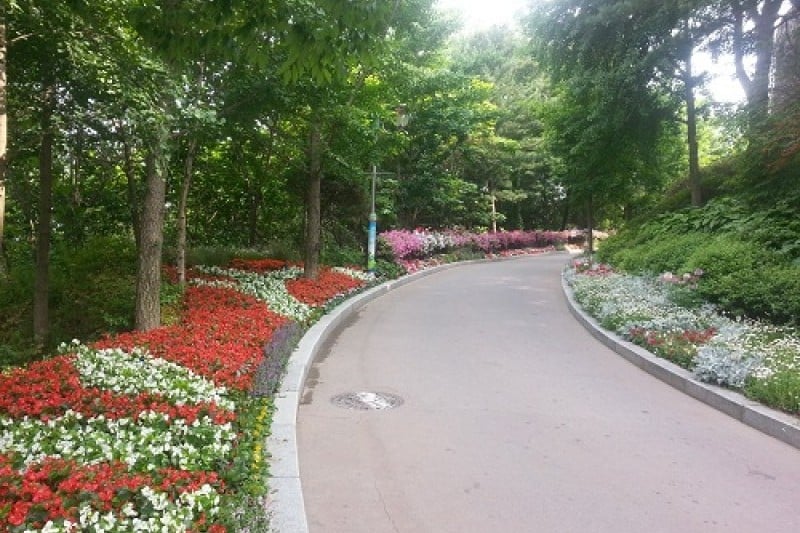 龍仁農村主題公園 (9/13)