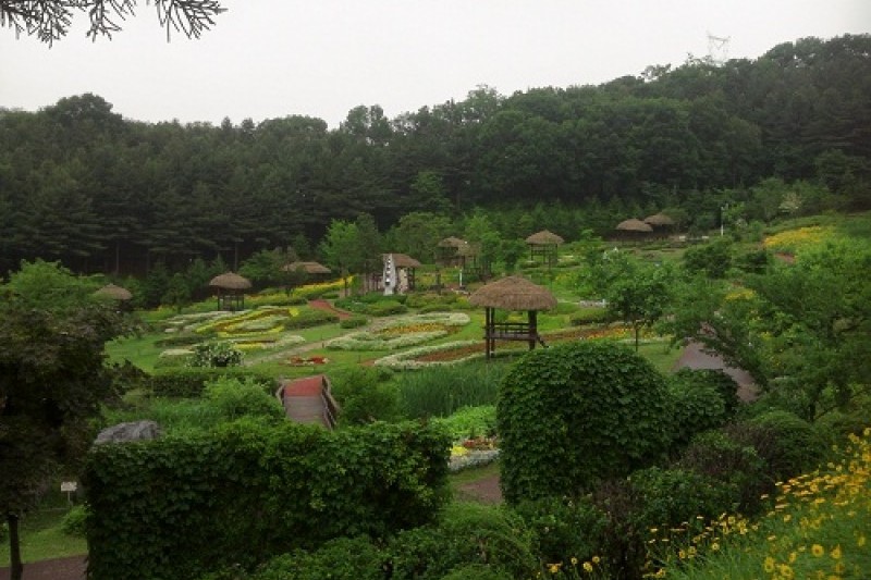龍仁農村主題公園 (10/13)