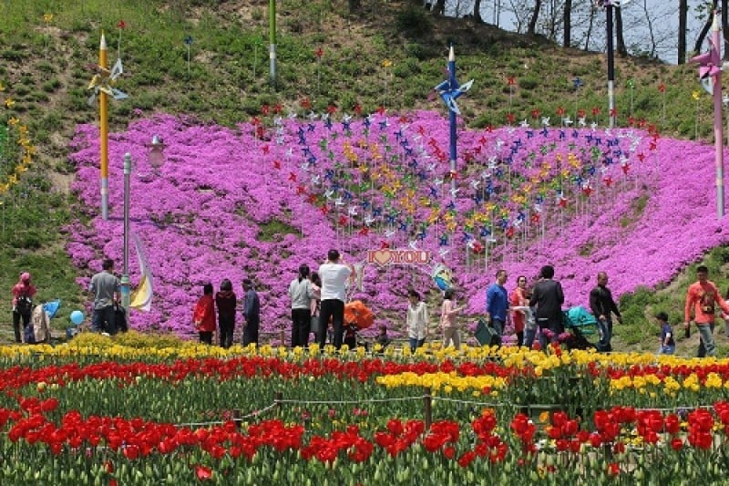 龍仁農村主題公園 (13/13)