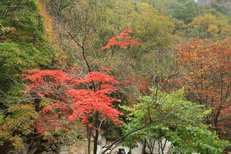 鳴聲山