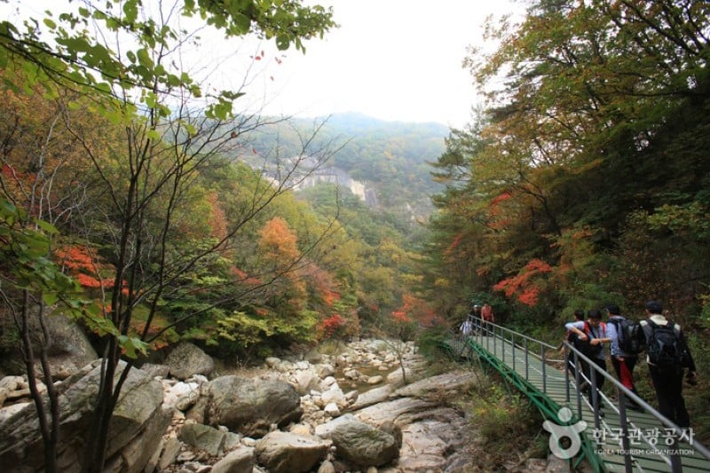 鳴聲山